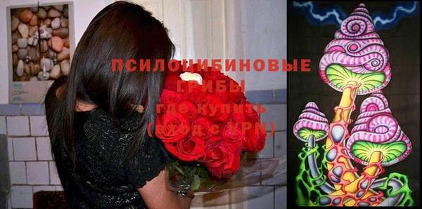 бутират Гусев