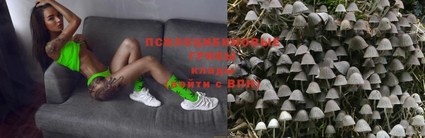 бутират Гусев