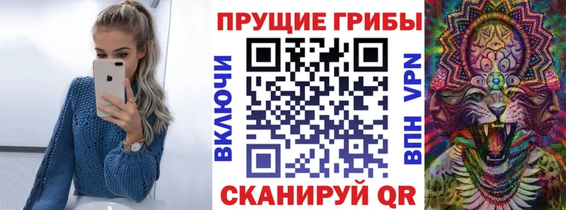 закладка  Камешково  mega зеркало  Псилоцибиновые грибы прущие грибы 